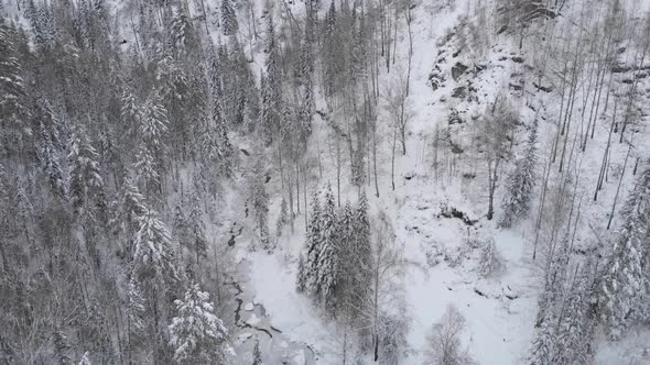 Aerial  Drone Video of Top View of Winter Siberian Forest in the Mountains
