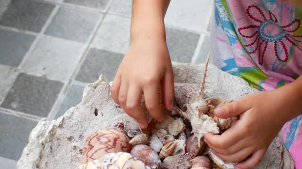 Preschooler Girl Playing with Seashells