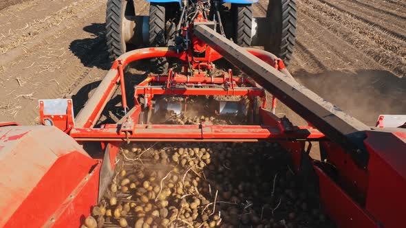 Potato Harvesting alt