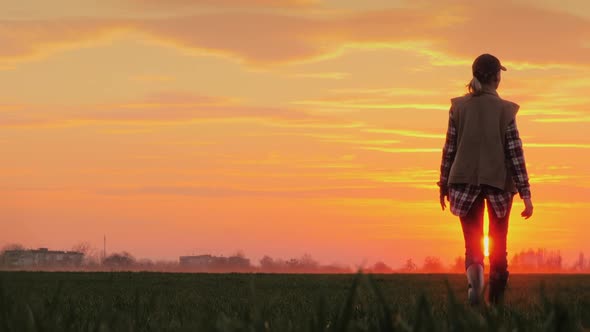 Young Farmer Against the Pink Sky and the Setting Sun Goes Ahead Across the Field alt