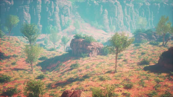 Sunset on the Jumbo Rocks in Joshua Tree National Park alt
