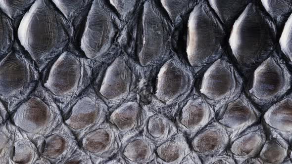 Black Snake Leather Closeup Production of Handmade Accessories Made of Genuine or Artificial Animal alt