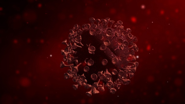 Corona covid-19 Virus In Human Body 3D (4 pack) alt