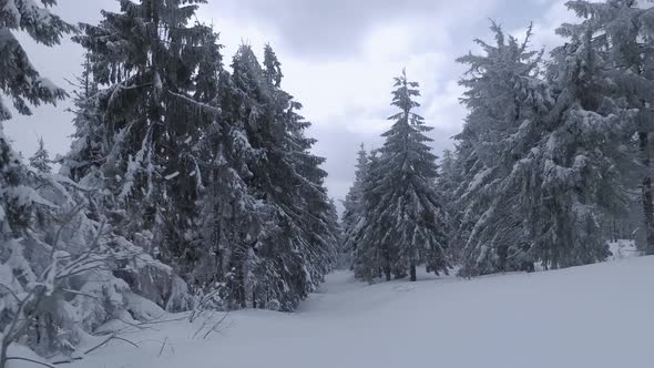 Aerial View of a Fabulous Winter Mountain Landscape Closeup alt