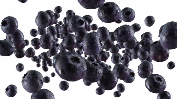 Burst of Blueberry in White Background with Alpha Channel alt