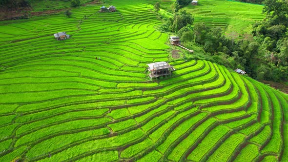 Aerial video of drones flying over rice terraces alt