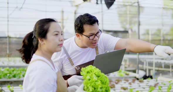Asian farmer couple checking Organic hydroponic vegetable cultivation farm alt
