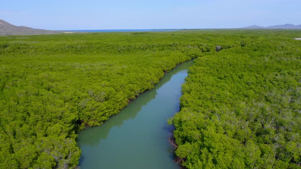 Biodiverse mangrove forest in Monte Cristi, Dominican Republic, aerial alt