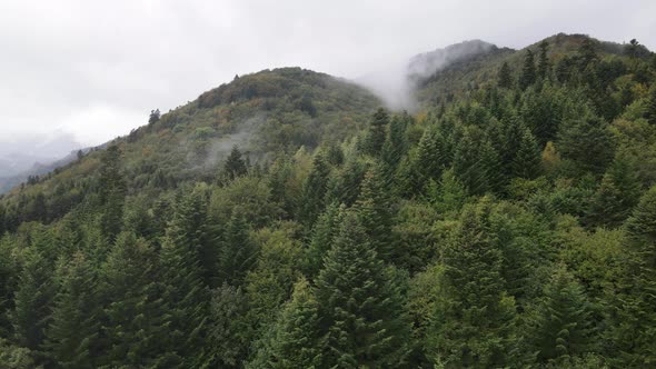 Nature of Ukraine: Carpathian Mountains Slow Motion. Aerial View alt