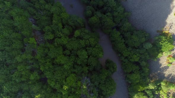 Valley in Deciduous Forest