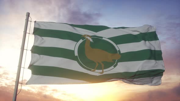 Wiltshire Flag England Waving in the Wind Sky and Sun Background alt