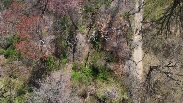 An aerial view directly above a park with a dirt road running through it. Taken on a sunny day in Va alt