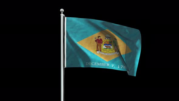 Delaware Flag Big