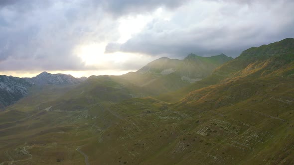 Idyllic Misty Pasture in the Sunlight alt