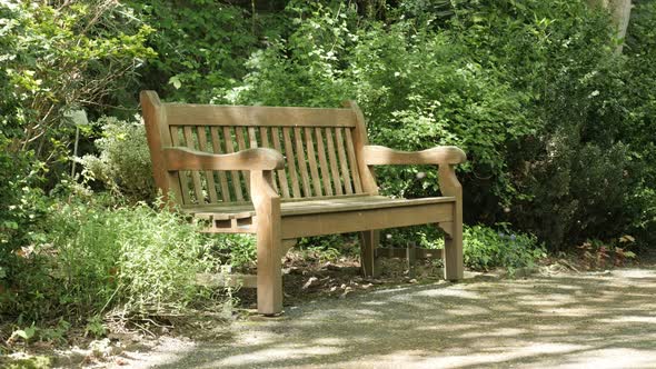 Wooden bench in the park natural background 4K 3840X2160 UHD video - Lonely bench  in the forest by 