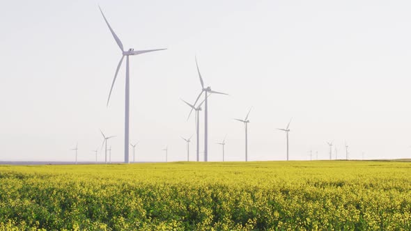 General view of wind turbines in countryside landscape with cloudless sky alt
