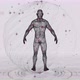 Holographic Human Body HUD UI - VideoHive Item for Sale