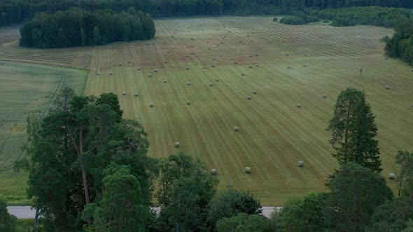 Aerial View of Field alt