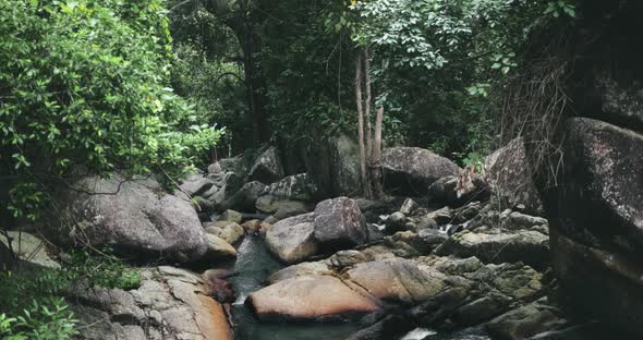 Thailand's Jungle River Water Fall and Flow at Stones