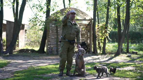 Front View Man Throwing Pet Flying Disk in Slow Motion Giving Command to Weimaraner Catching Toy alt