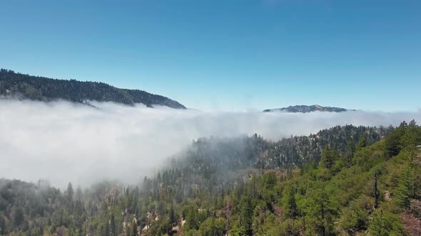 Aerial drone shot of dense fog between forested mountains on a sunny day in California, USA alt