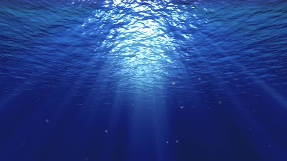 Khám phá vẻ đẹp kì diệu của thế giới ngầm dưới nước thông qua hình ảnh ấn tượng được ghi lại từ các máy ảnh chuyên nghiệp. Với ngầm dưới nước, bạn sẽ thấy một thế giới mới với những sinh vật lạ mắt và các cảnh quan tuyệt đẹp.