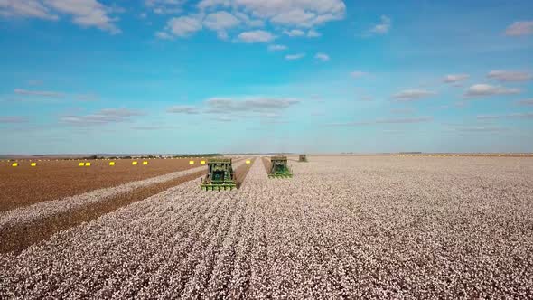 Tractor harvester cotton pickers collecting rows of bolls - aerial flyover alt
