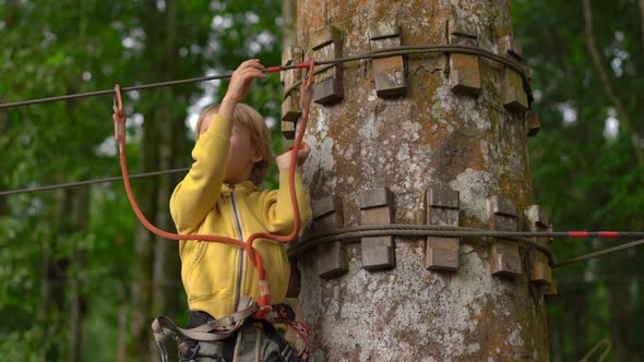 Little Boy in a Safety Harness Climbs on a Route in Treetops in a Forest Adventure Park alt