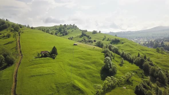 Aerial view of green hills and Carpathian mountains covered with evergreen spruce pine forest alt