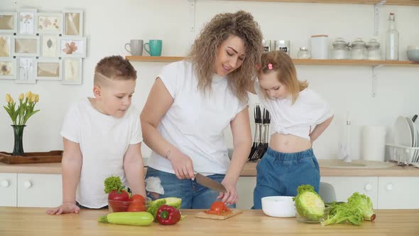 A Son and Daughter Watch a Mother Slice a Tomato at a Kitchen Table in a Scandinavian Design alt