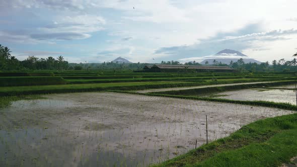 Bali rice field terraces on Mount Agung volcano mountainside, north of island