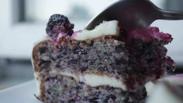 Selective Focus of Delicious Cake with Blackberries