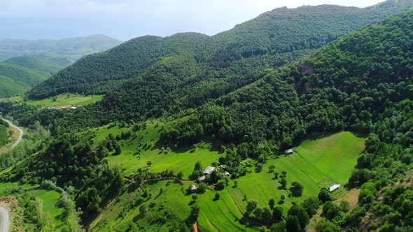 Aerial Forest View alt