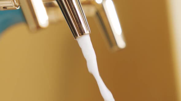 Machine for Making Coffee alt