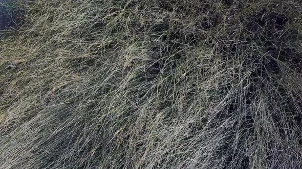 Top View Dry Shore Full of Clay of Dried Up Sea Global Warming and Drought Concept alt