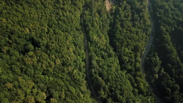 Aerial Top View of Caucasian Mountain Forest, Texture of Forest View From Above. alt