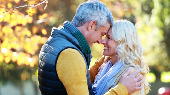 Couple romancing face to face alt