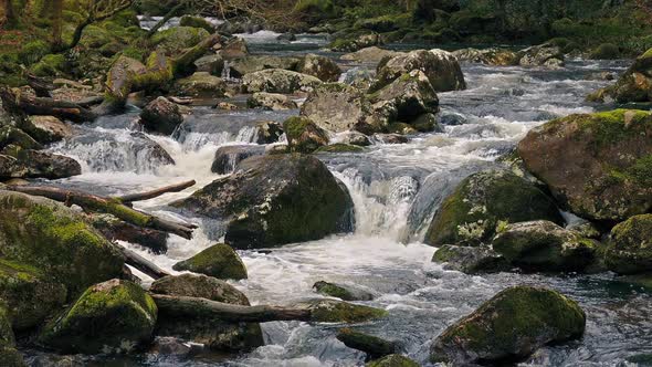 Scenic River Loop alt