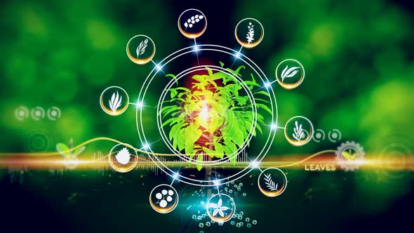 Leaves Icon Concept alt