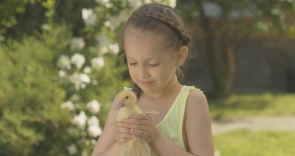 Close-up Portrait of Cute Caucasian Girl Holding Yellow Duckling and Smiling at Camera. Happy Pretty alt
