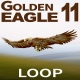Golden Eagle 11 - VideoHive Item for Sale