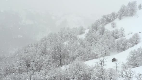 Fantastic Snowstorm in Winter Mountains