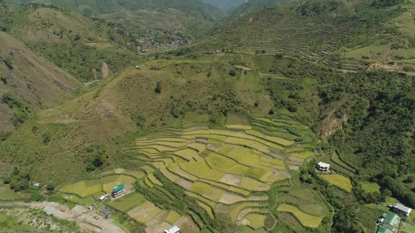 Rice Terraces Mountains alt