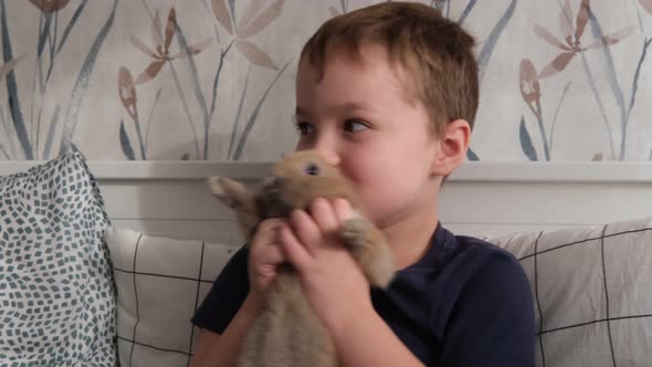a Little Boy Holds a Decorative Rabbit in His Arms Plays with Him