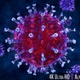 4K Closeup of the Coronavirus or Covid-19 Outbreak in 3D - VideoHive Item for Sale
