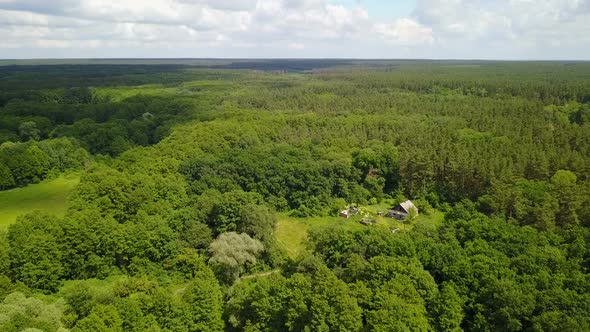 House In The Forest 2