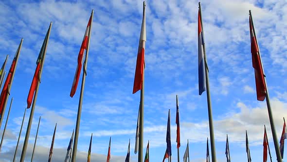 Group of Flags on the Flagpole