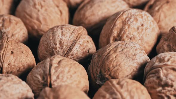 Lot of Walnuts in the Shell are Spinning on a Black Background alt