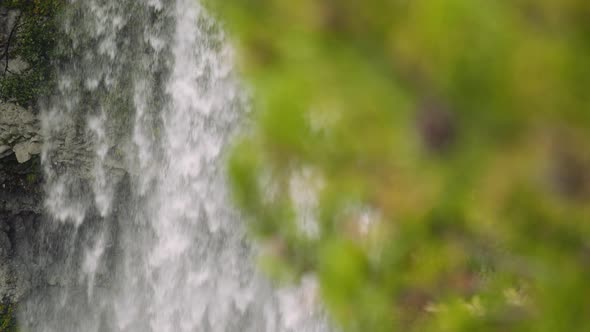 Waterfall from Behind the Leaves alt