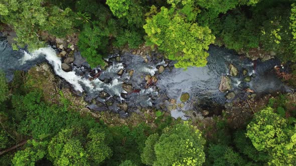 Aerial Creek Fly Over Gold Coast Hinterland